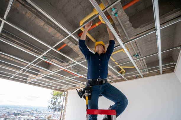 Best Emergency Plumber  in Greenville, MI