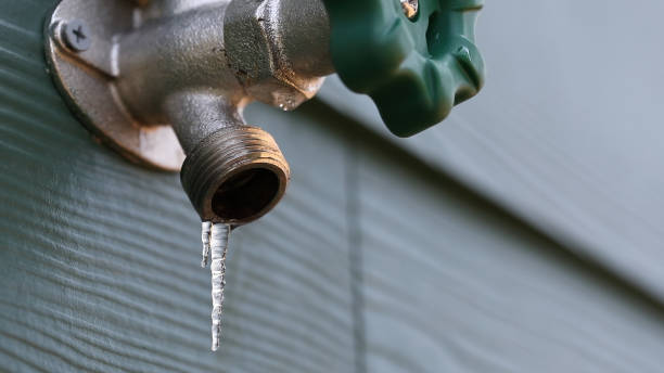 Best Hot Water Heater Installation  in Greenville, MI