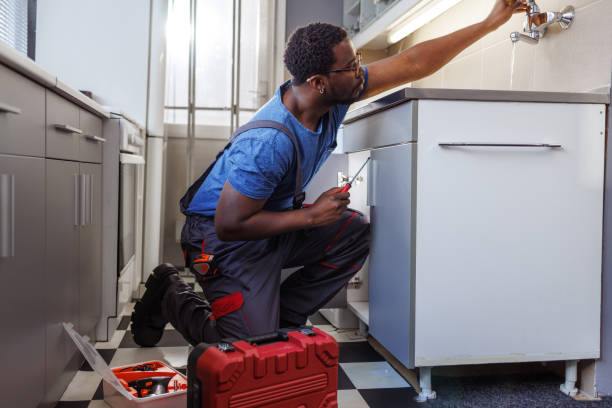 Best Leak Detection Services  in Greenville, MI