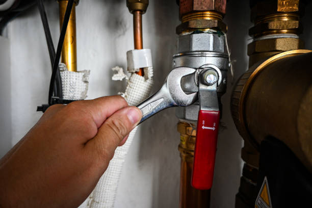 Best Plumbing Services Near Me  in Greenville, MI